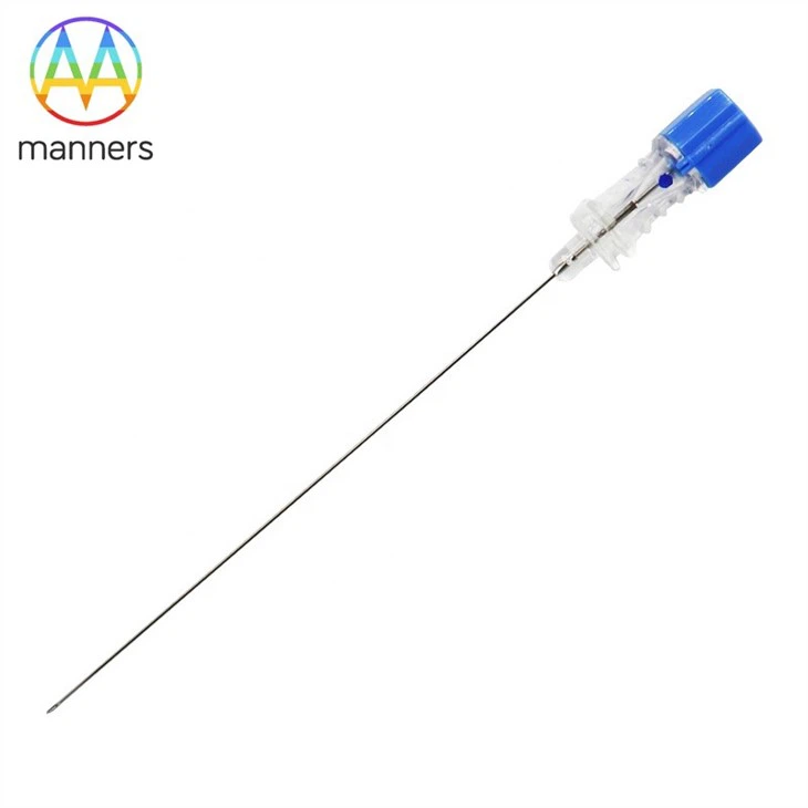 Lumbar Spine Biopsy Puncture Needles